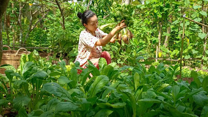 Cặp đôi Bến Tre 'bỏ phố về quê' làm nông trại đẹp như khu du lịch