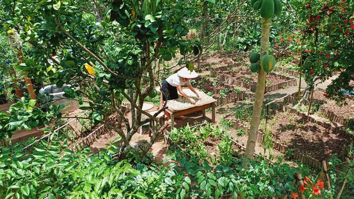 Cặp đôi Bến Tre 'bỏ phố về quê' làm nông trại đẹp như khu du lịch