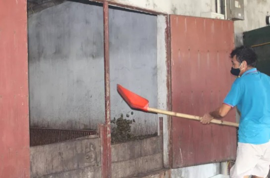 Nam Định: Cau tươi được giá, bán đắt như tôm tươi, người dân vui như Tết