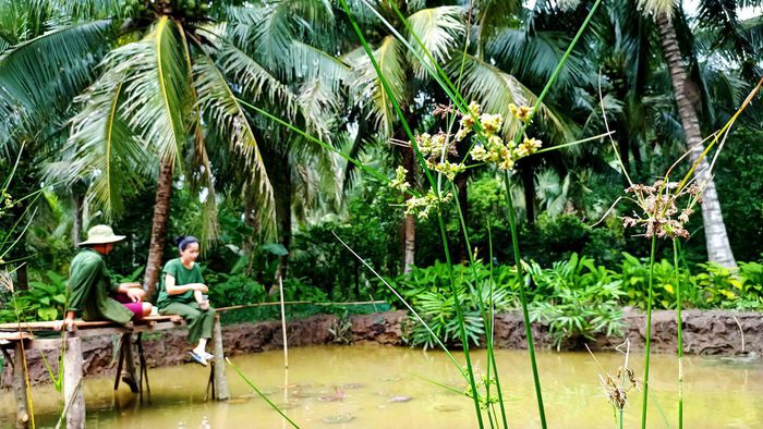 Cặp đôi Bến Tre 'bỏ phố về quê' làm nông trại đẹp như khu du lịch