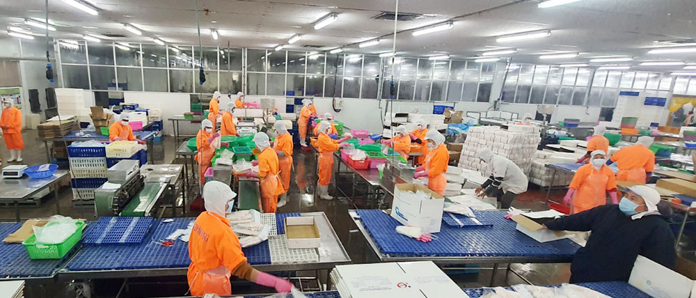 Nỗ lực hơn nữa trong tạo việc làm cho lao động địa phương