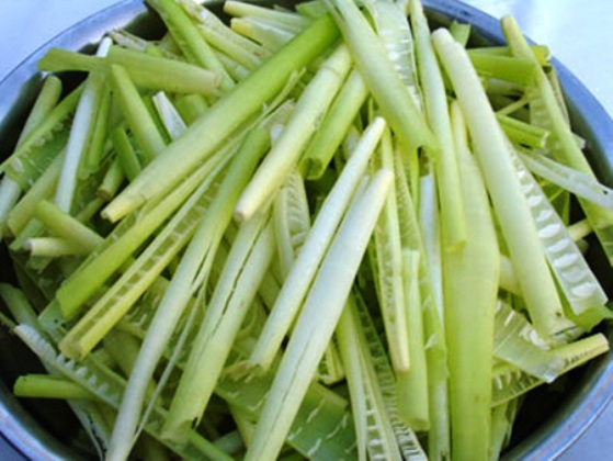 Rủ nhau nếm thử “lộc trời” ở Bạc Liêu