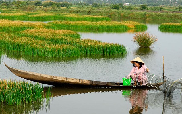 Rủ nhau nếm thử “lộc trời” ở Bạc Liêu
