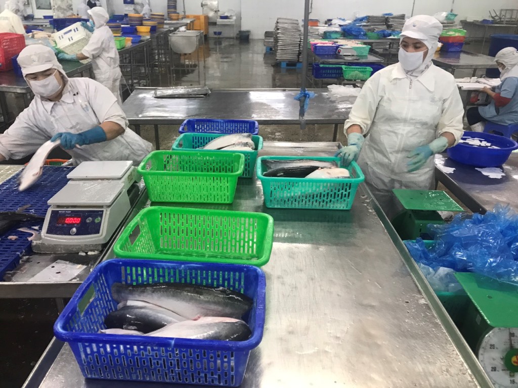 Phục hồi kinh tế thích ứng dịch bệnh