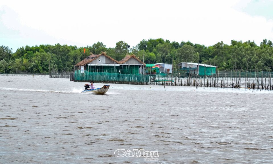 "Vàng" trong đất