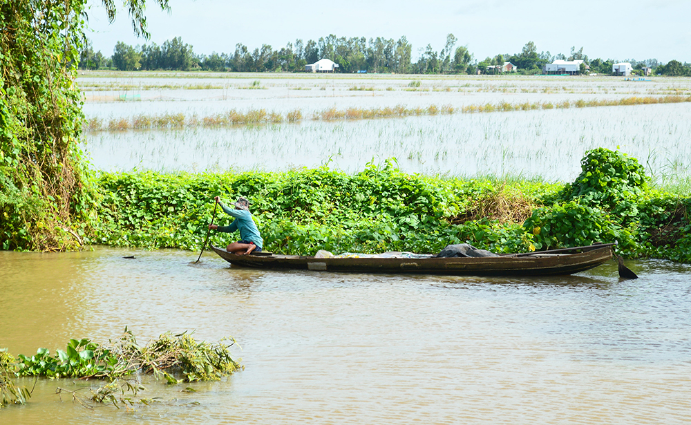 Sống cùng lũ nhỏ