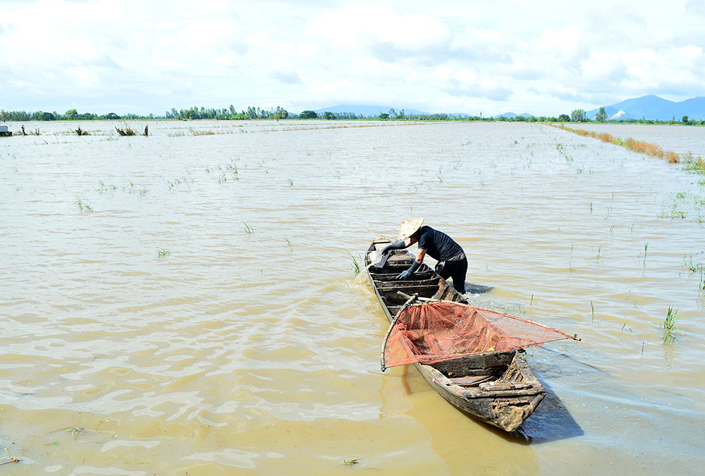 Sống cùng lũ nhỏ