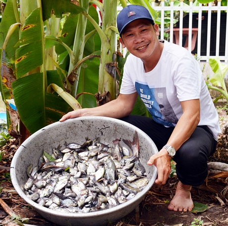 Hấp dẫn tát đìa bắt cá đồng nướng rơm ở miền Tây