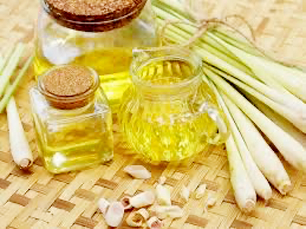 Dùng y dược cổ truyền để phòng COVID-19