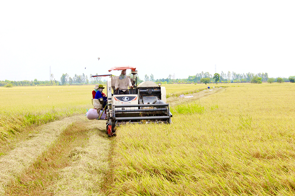 Châu Phú thực hiện nhiệm vụ phát triển kinh tế - xã hội