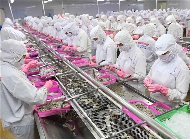 Nghị quyết 128/NQ-CP: 'Cởi trói' tinh thần, thúc đẩy khôi phục kinh tế