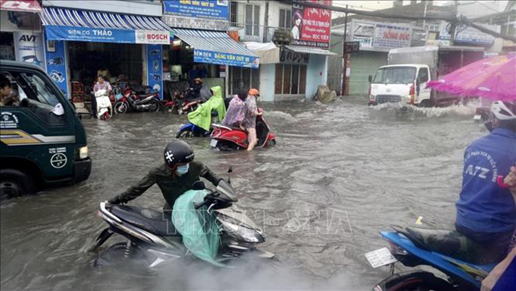 Thời tiết ngày 24-10: Trung Bộ mưa to, nguy cơ xảy ra sạt lở đất