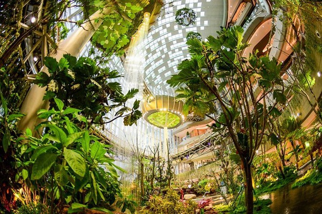 Khu rừng tuyệt đẹp trong trung tâm thương mại