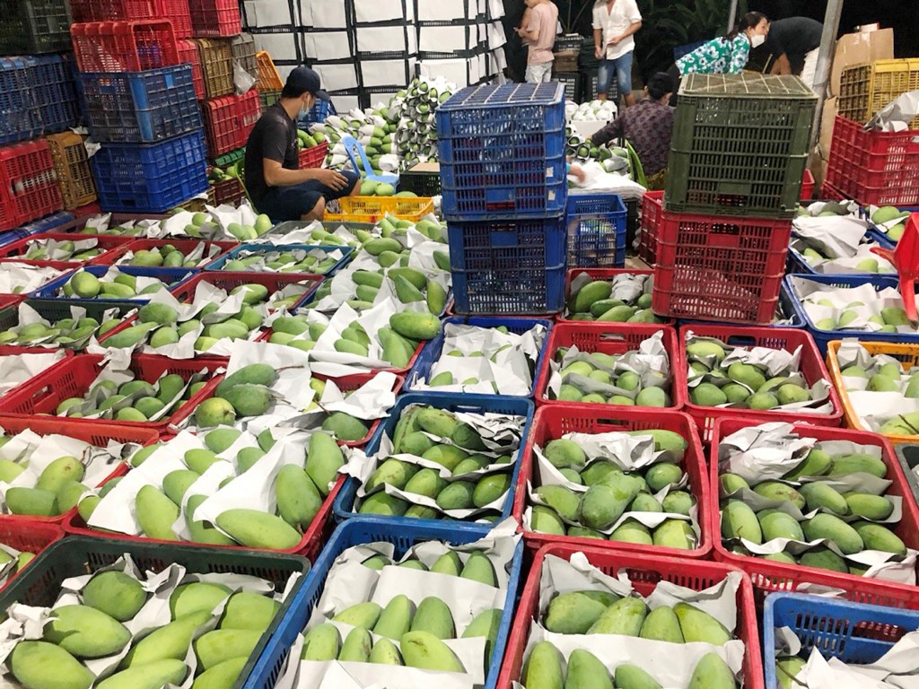 Chợ Mới nỗ lực hoàn thành nhiệm vụ chính trị