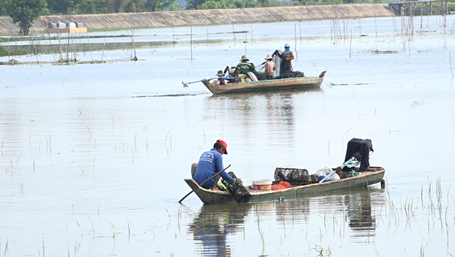 Trải nghiệm đặc sản mùa nước nổi