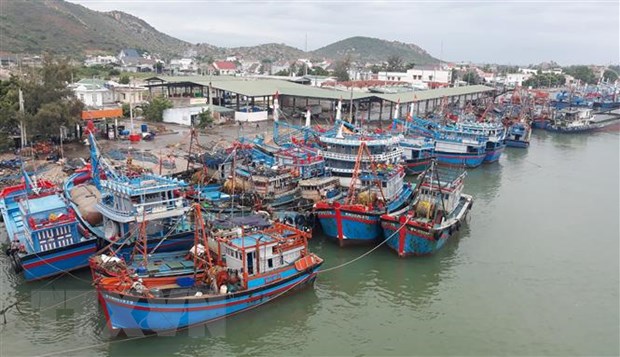 Áp thấp gây mưa dông mạnh, các địa phương kêu gọi tàu thuyền vào bờ