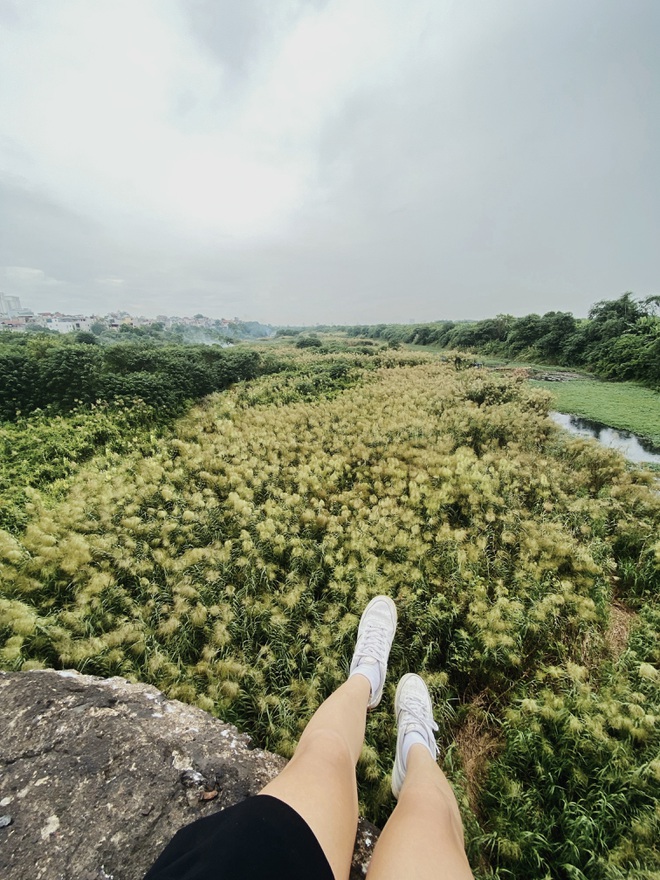 Cầu Long Biên nên thơ khi mùa lau về