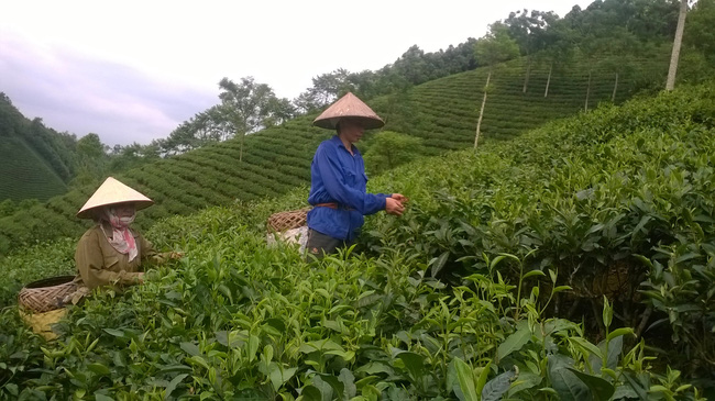 Ba Vì có thêm 2 xã cán đích nông thôn mới