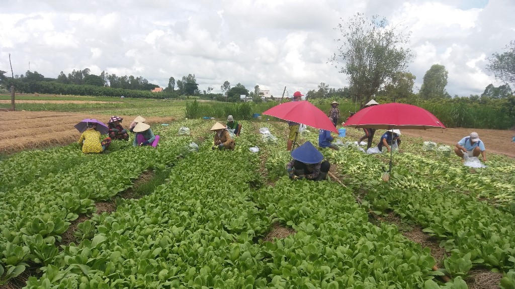 Ước mong “cất cánh” vùng đất chín rồng