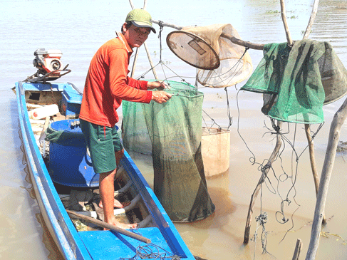 Bấp bênh mùa lũ kém