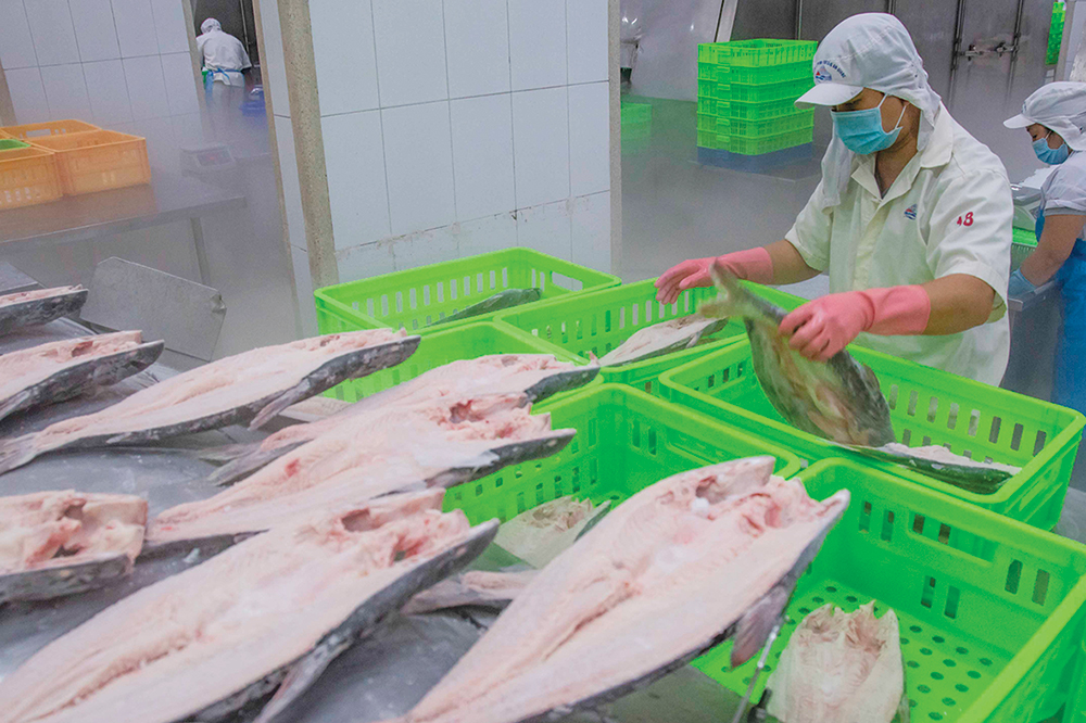 Sản xuất - kinh doanh trong trạng thái bình thường mới
