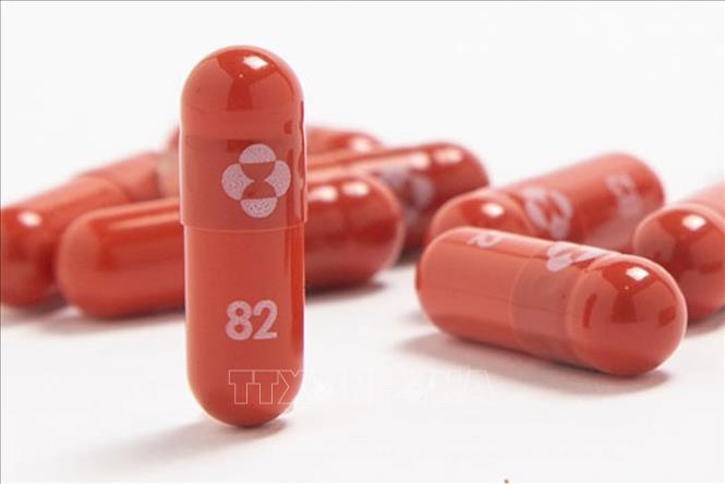 Thái Lan xúc tiến mua 2 loại thuốc điều trị COVID-19