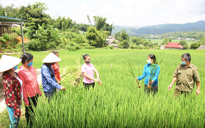 Bài toán việc làm ở các tỉnh miền núi