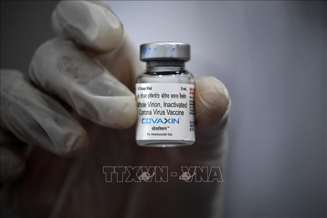 Bộ Y tế phê duyệt có điều kiện vaccine phòng COVID-19 Covaxin