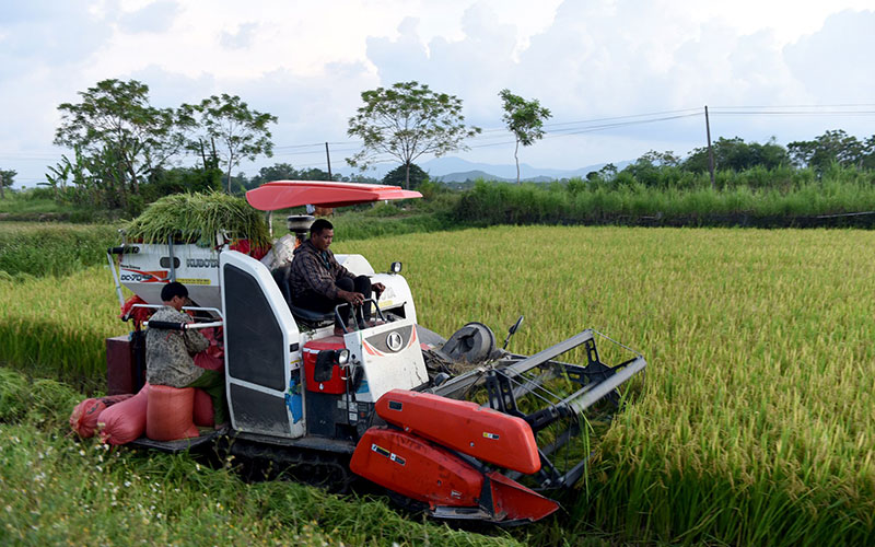 Bảo đảm nguồn nước cho sản xuất vụ đông xuân