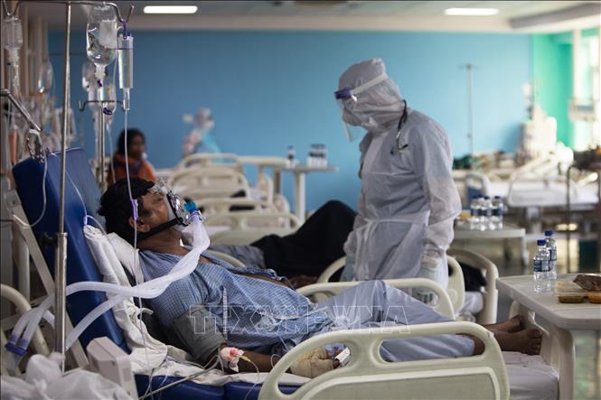 Toàn thế giới đã ghi nhận 254,18 triệu ca nhiễm virus SARS-CoV-2