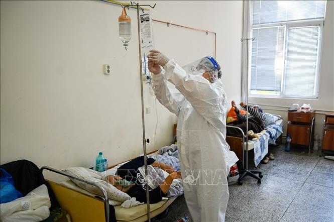 Toàn thế giới đã ghi nhận 254,18 triệu ca nhiễm virus SARS-CoV-2