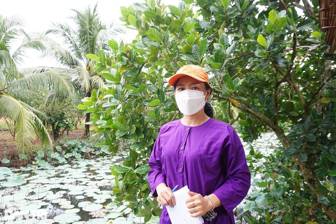 Ngành du lịch Bến Tre đón những du khách đầu tiên sau thời gian "ngủ đông"