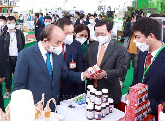 Chủ tịch nước: Những gì bắt đầu ở đây sẽ thay đổi nền nông nghiệp Việt Nam
