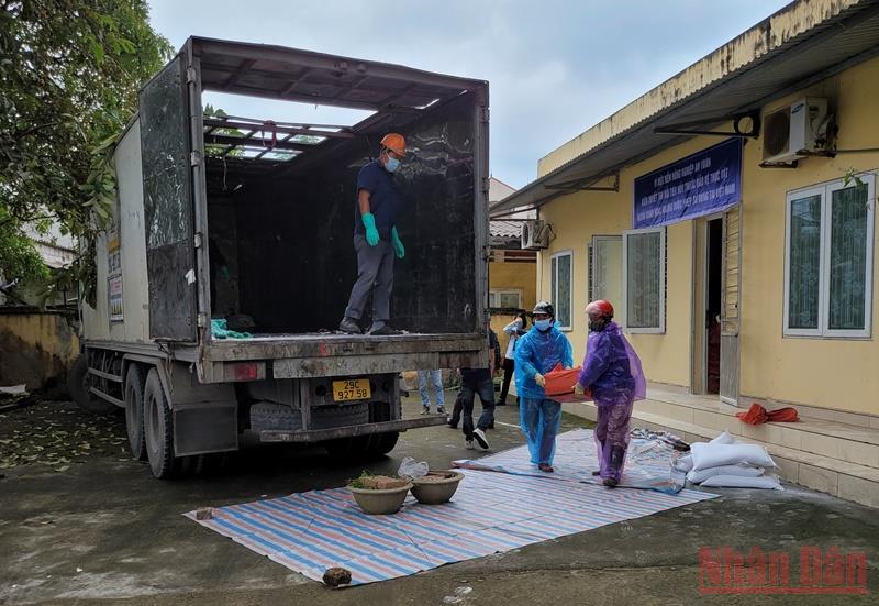 Tiêu hủy hơn 6 tấn thuốc bảo vệ thực vật vi phạm