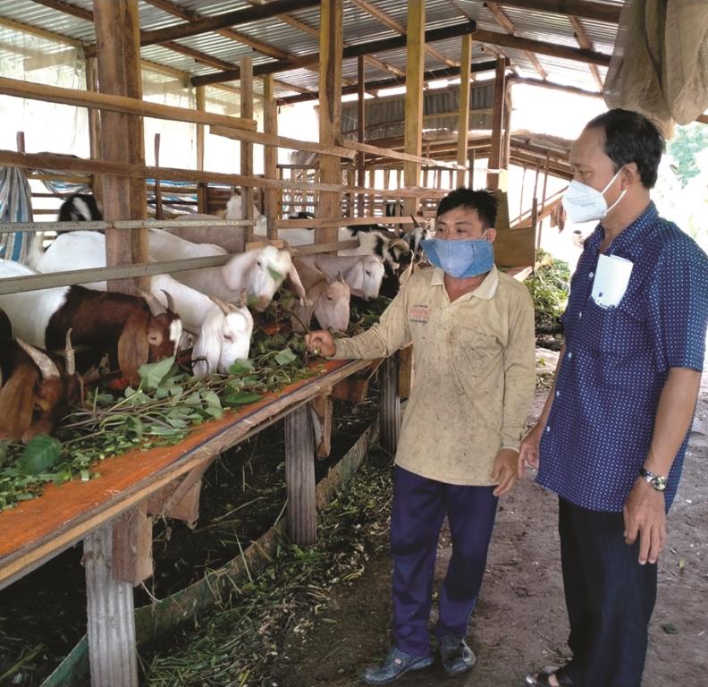 Tạo sinh kế cho người lao động