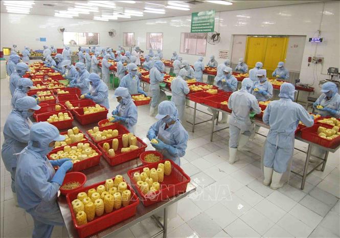 Thúc đẩy đầu tư, thương mại Việt Nam - Australia lên tầm cao mới