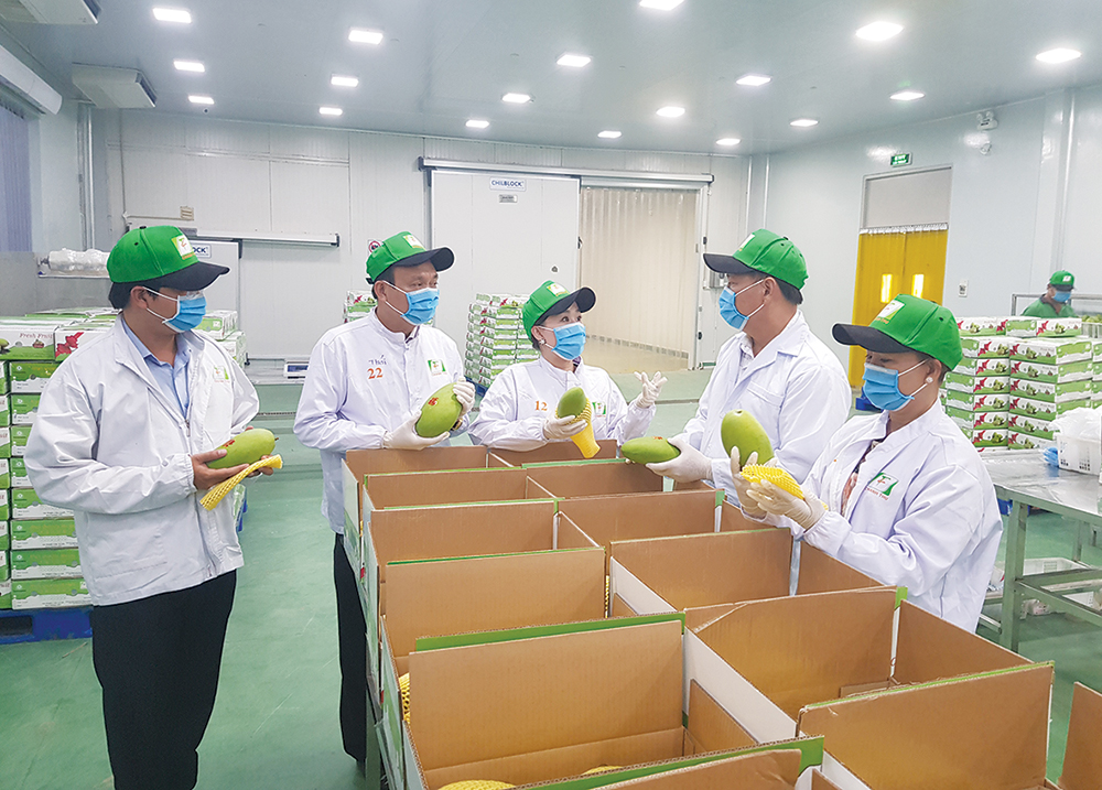 Lưu ý xuất khẩu thị trường Trung Quốc