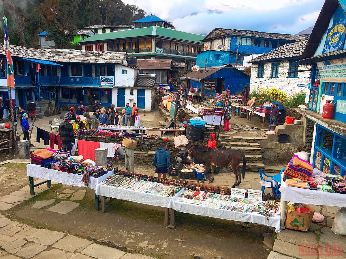 Sắc thu rực rỡ ở Nepal