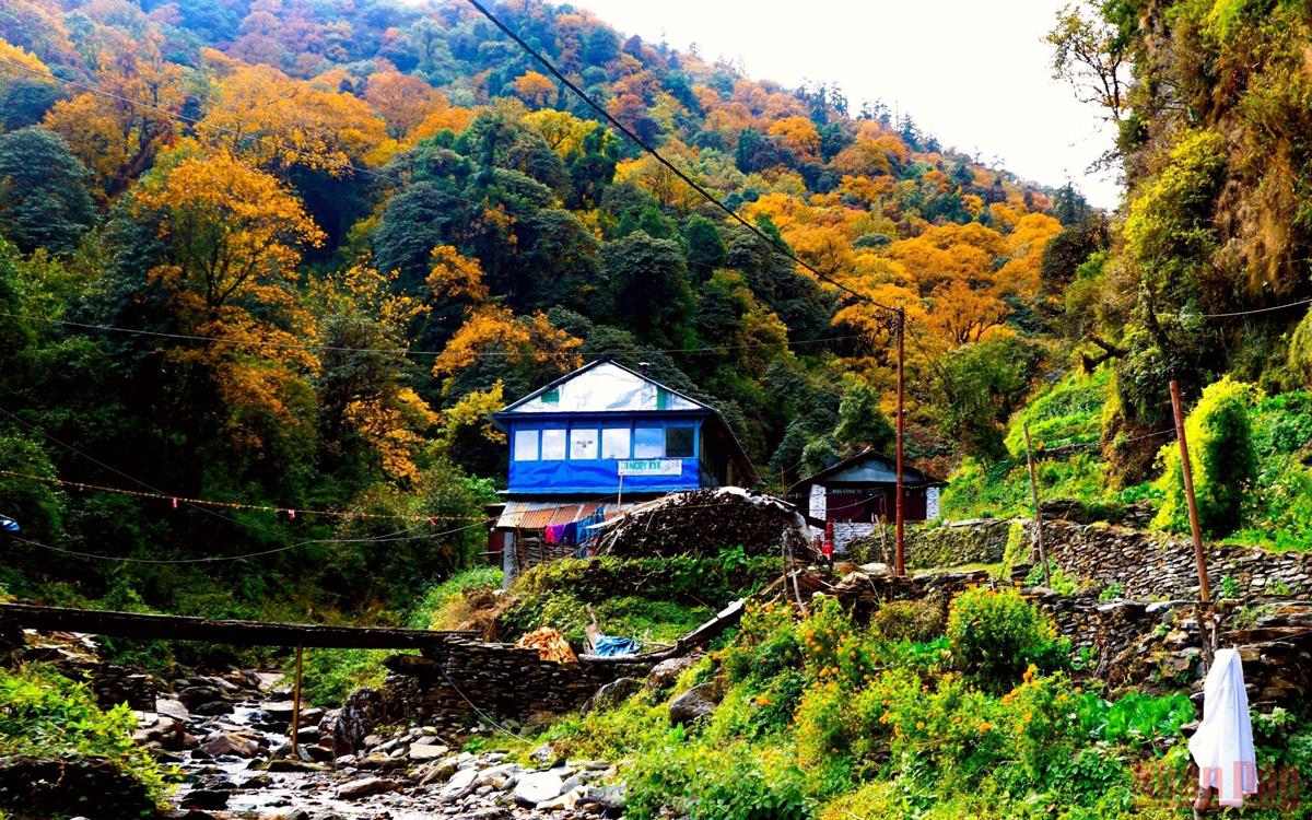 Sắc thu rực rỡ ở Nepal