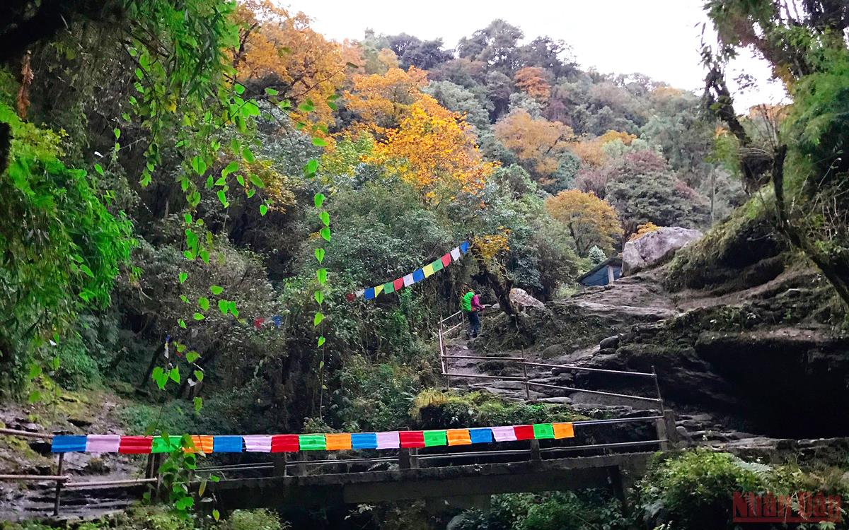 Sắc thu rực rỡ ở Nepal