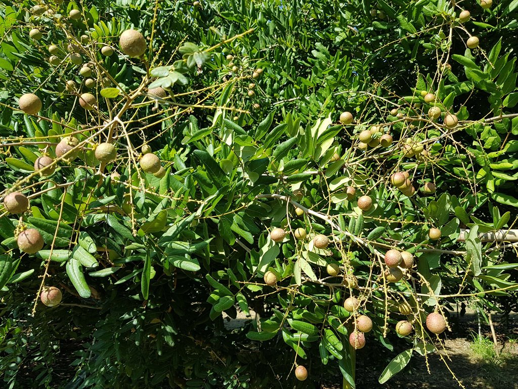 An Giang hỗ trợ kết nối, tiêu thụ sản phẩm nông nghiệp