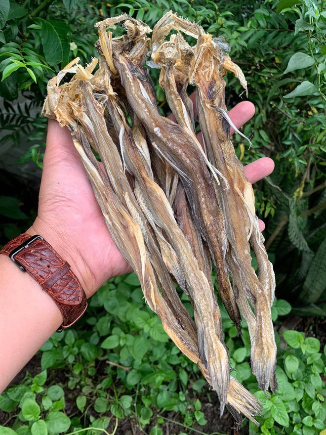 Món cá "nhà nghèo" ăn "mềm như cháo" thành đặc sản giá vài trăm nghìn/kg