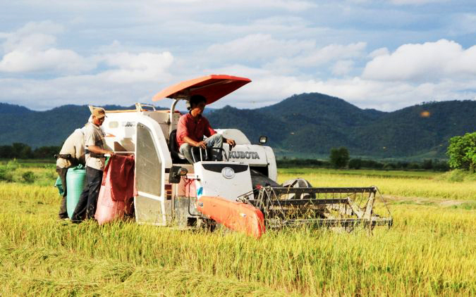 Xuất khẩu gạo đón “làn sóng” phục hồi