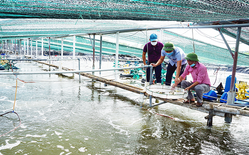 Phát triển kinh tế biển vùng nam đồng bằng sông Hồng