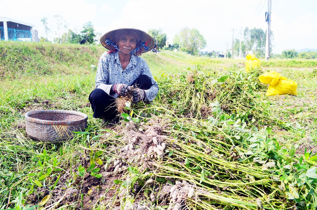 Định hướng phát triển kinh tế- xã hội vùng đồng bào dân tộc thiểu số An Giang