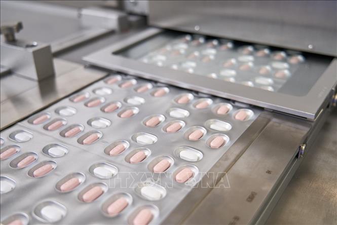 Pfizer sẵn sàng bàn giao thuốc điều trị COVID-19 để phân phối khắp châu Âu và Mỹ