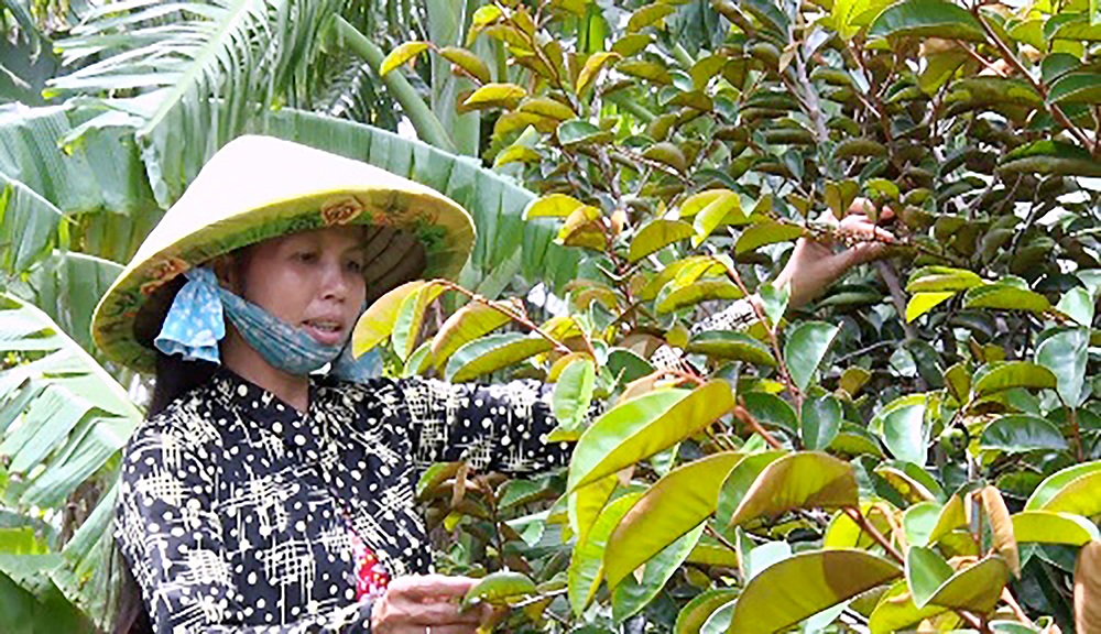 Hiệu quả chương trình cho vay hỗ trợ tạo việc làm