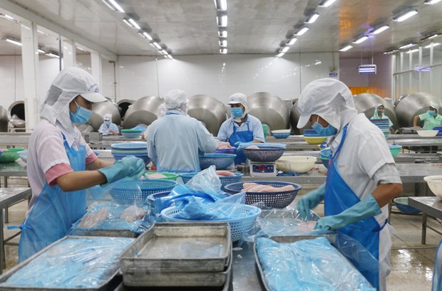 Xuất khẩu nông, lâm, thủy sản sẽ vượt xa mục tiêu 44 tỷ USD