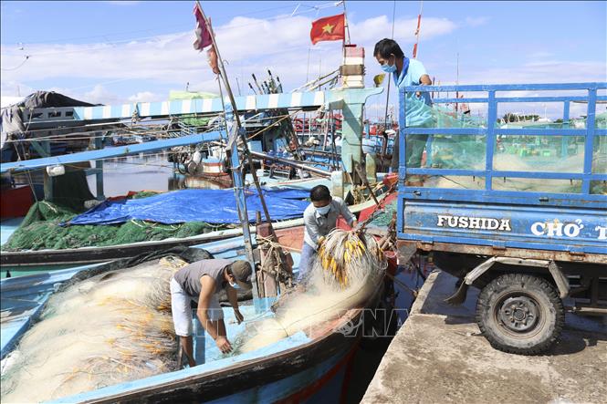Khôi phục chuỗi cung ứng, xúc tiến xuất khẩu nông, thủy sản