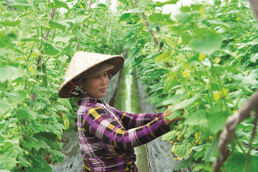 Phụ nữ xã Vĩnh Nhuận năng động, sáng tạo